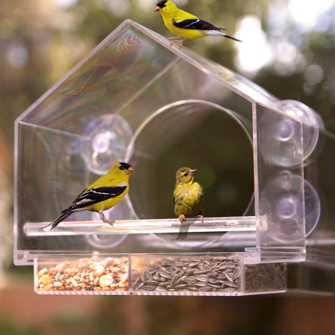 Breezy Bird Feeder | Window-Mounted, Clear Acrylic 5