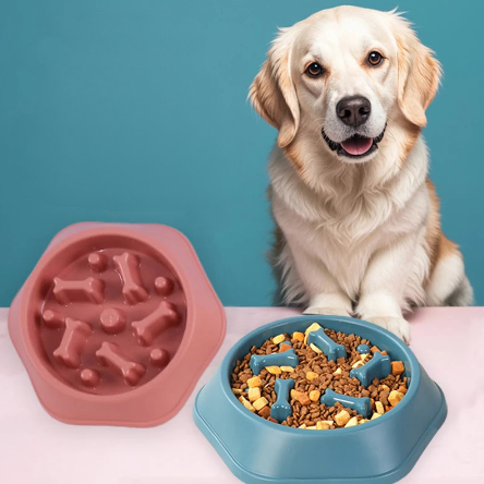 Slow Feeder Bowl
