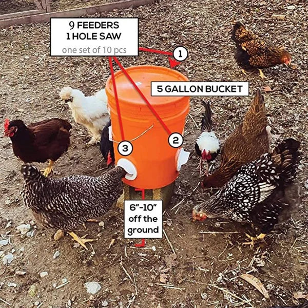 Clever Chicken Feeder | Weatherproof, Adjustable Poultry Feeder 2