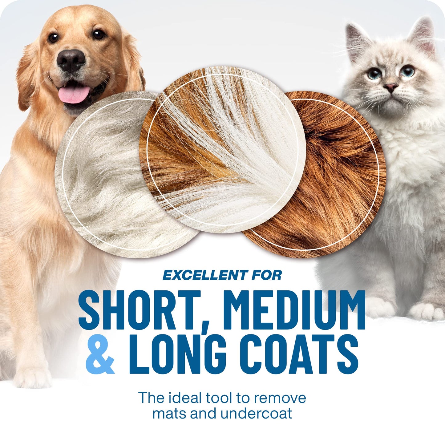 Dapper Dog Brush | 2-in-1 Deshedding and Undercoat Rake for Medium to Large Dogs 3