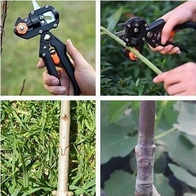 GraftPro Cutting Tool | Professional Grafting Shears 7
