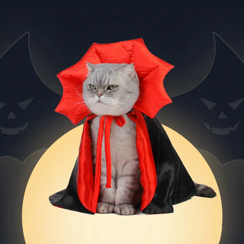 Halloween Pet Costume
