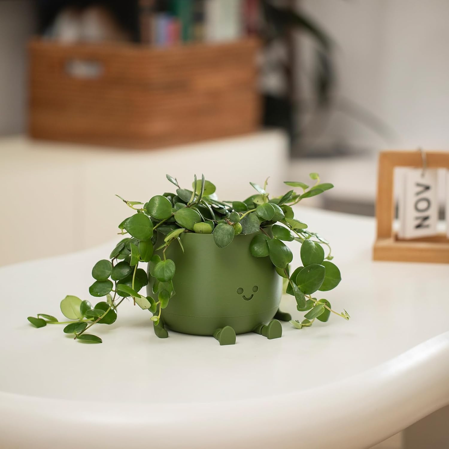 Happi Face Planter | Self-Watering, Eco-Friendly Design 8