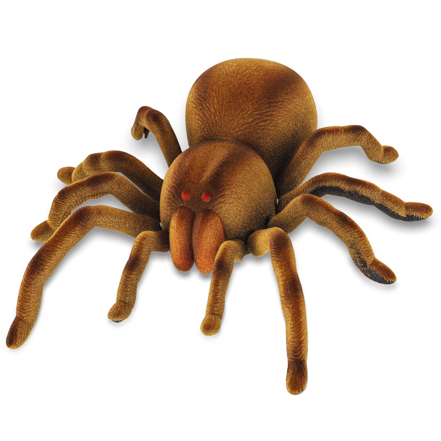 RC Spider Toy 24$ TODAY ONLY