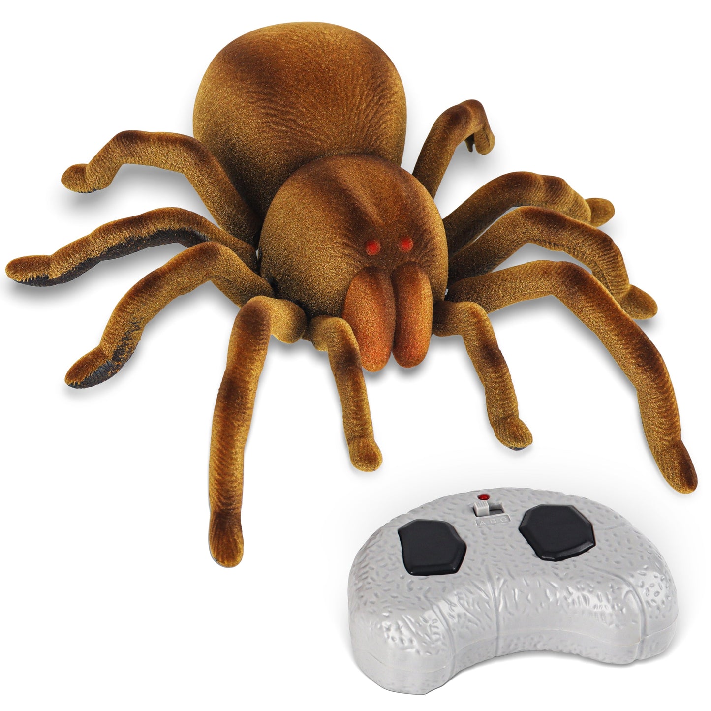 RC Spider Toy 24$ TODAY ONLY