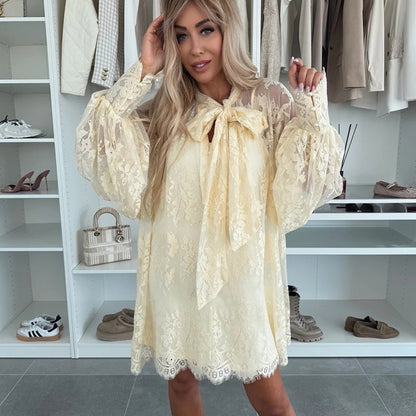 Liora Mini Dress | Lace Overlay, A-Line Summer Dress 5