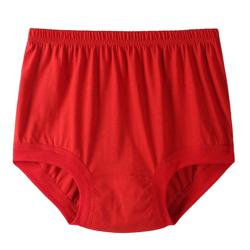 Luxe Cotton Briefs | Plus Size, High-Waisted 14