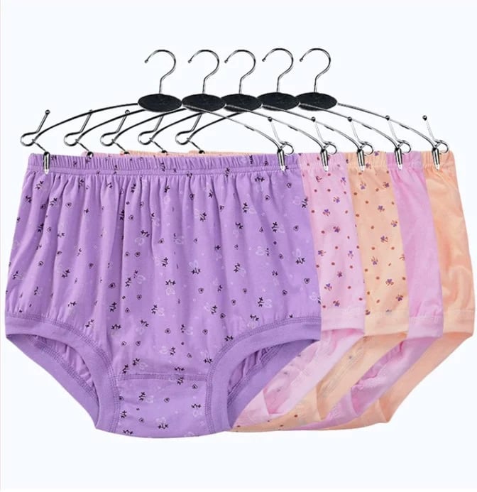 Luxe Cotton Briefs | Plus Size, High-Waisted 2