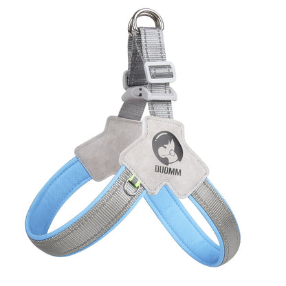 Milo Dog Vest | Breathable Mesh, Reflective Safety 6