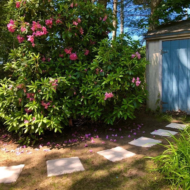 Natura Garden Stones | Durable Resin Decorative Stepping Stones for Pathways 6