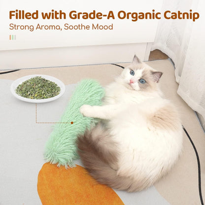 Catnip Toy 7$ TODAY ONLY