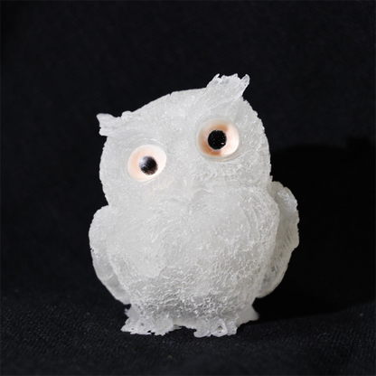 Ollie Owl Figurine | Charming Decorative Accent 13
