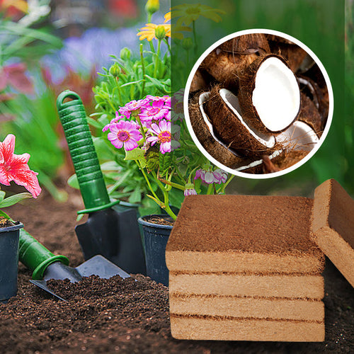Organic Coconut Coir