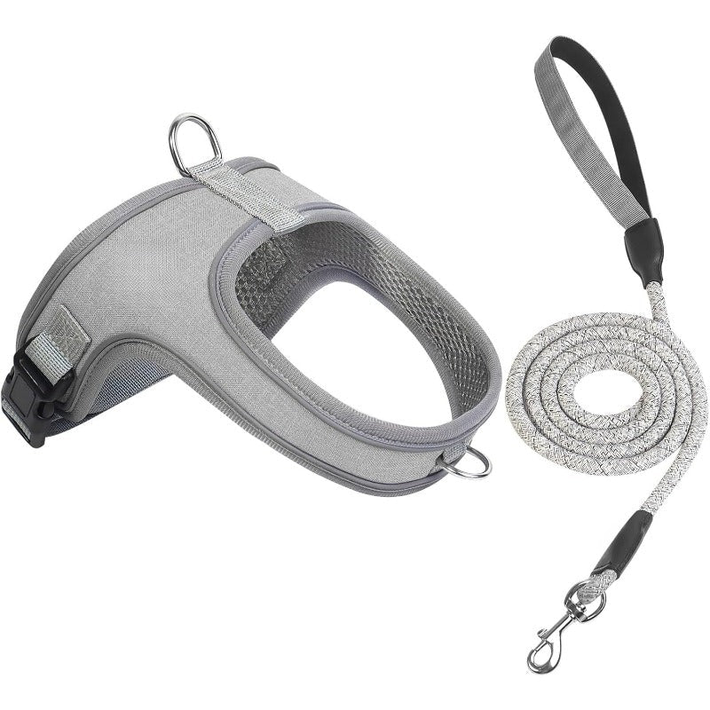 PawFlex Dog Harness | No Pull, Breathable, Adjustable for Comfort 1