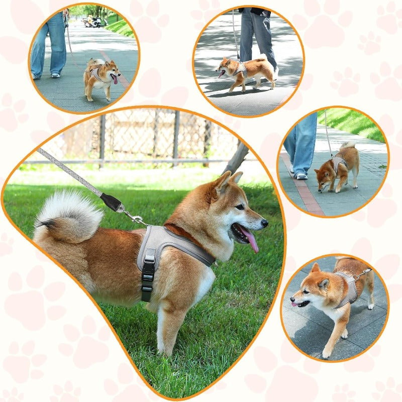PawFlex Dog Harness | No Pull, Breathable, Adjustable for Comfort 5