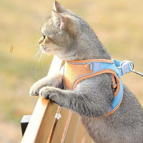 Pawfect Vest Leash | Lightweight, Breathable Design 2