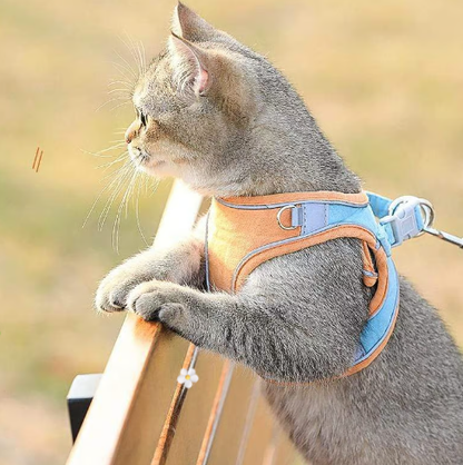 Pawfect Vest Leash | Lightweight, Breathable Design 2