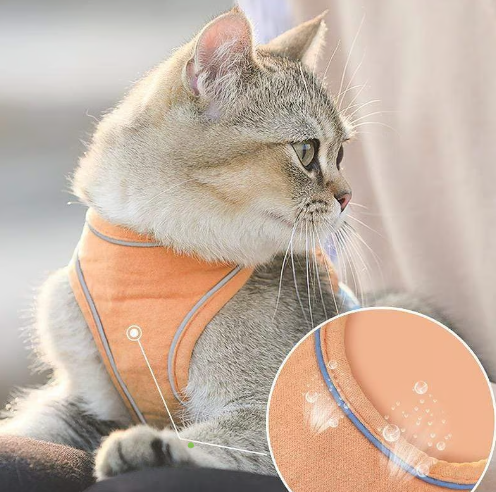 Pawfect Vest Leash | Lightweight, Breathable Design 3