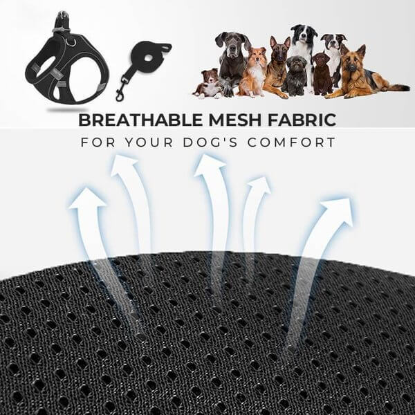Pawfect Vest Leash | Lightweight, Breathable Design 5