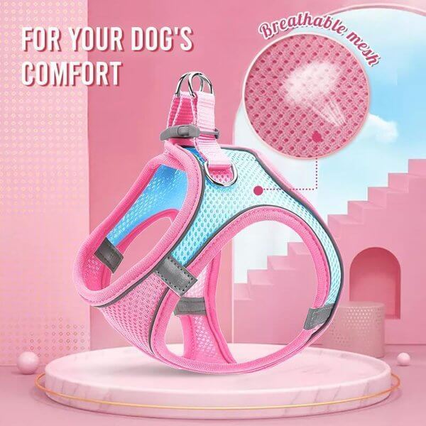 Pawfect Vest Leash | Lightweight, Breathable Design 7