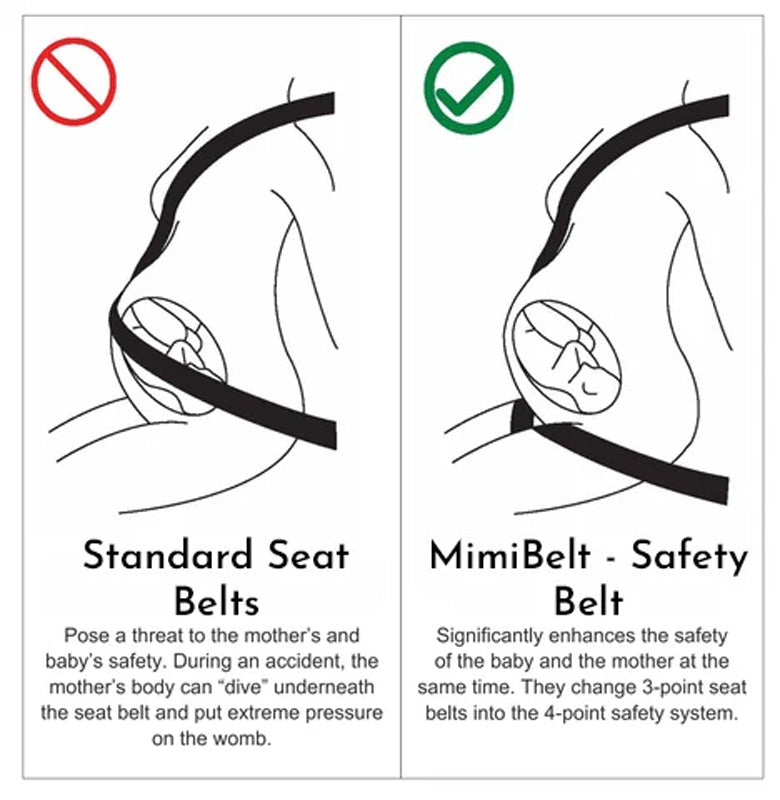 Prego Safety Belt | 3-Point Adjustable Design 7