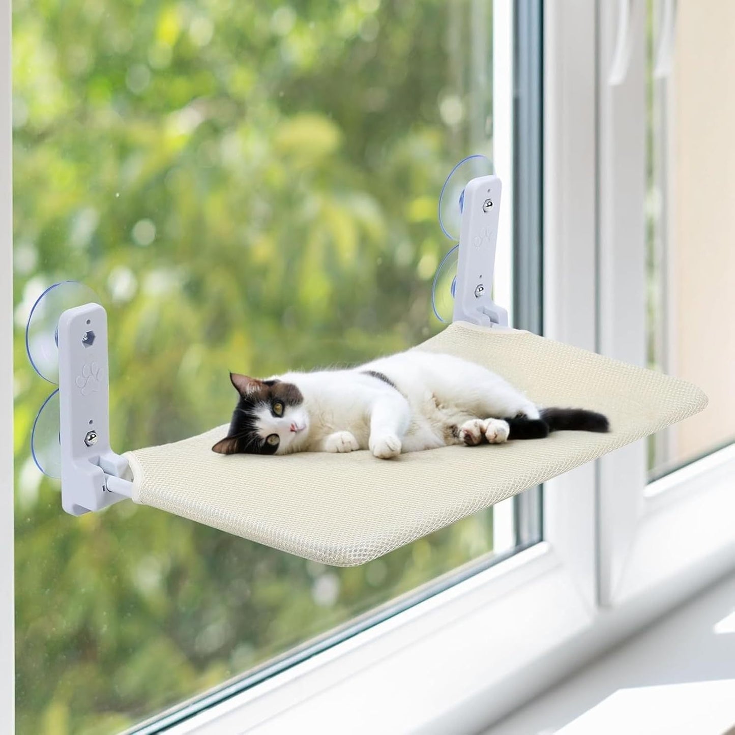 Cat Window Hammock 15$ TODAY ONLY