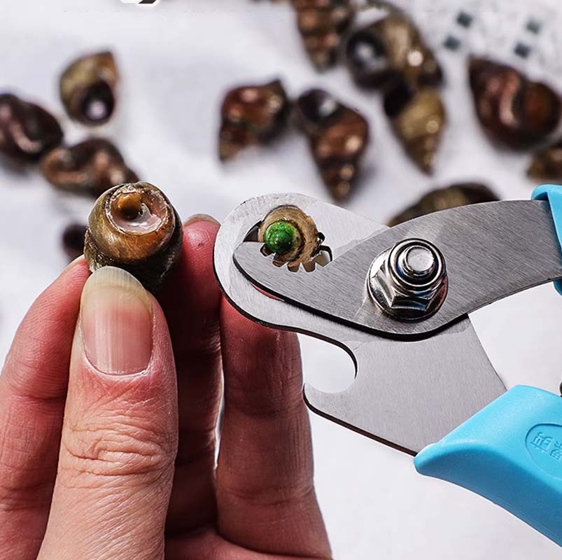 Sleek Snail Cutter | Stainless Steel, Ergonomic Design