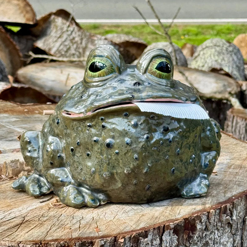 Toady Tissue Holder | Unique Toad Design 6