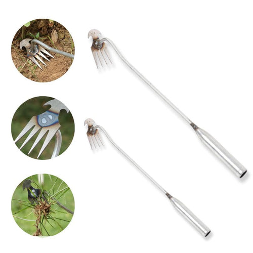 Weed Remover Hoe