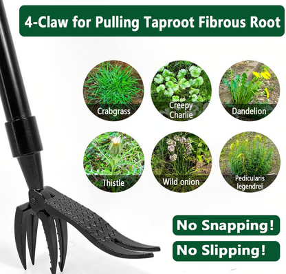 Wanda Garden Tool | Ergonomic Weed Removal 2