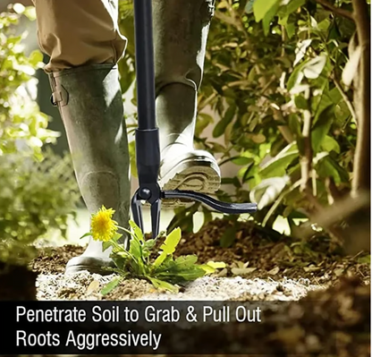 Wanda Garden Tool | Ergonomic Weed Removal 3