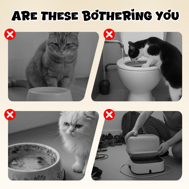 Whimsy Cat Bowl | Wall-Mounted Toilet Design, Stainless Steel 2