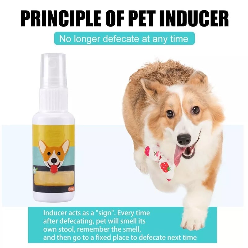 Pet Potty Training Spray 15$ TODAY ONLY