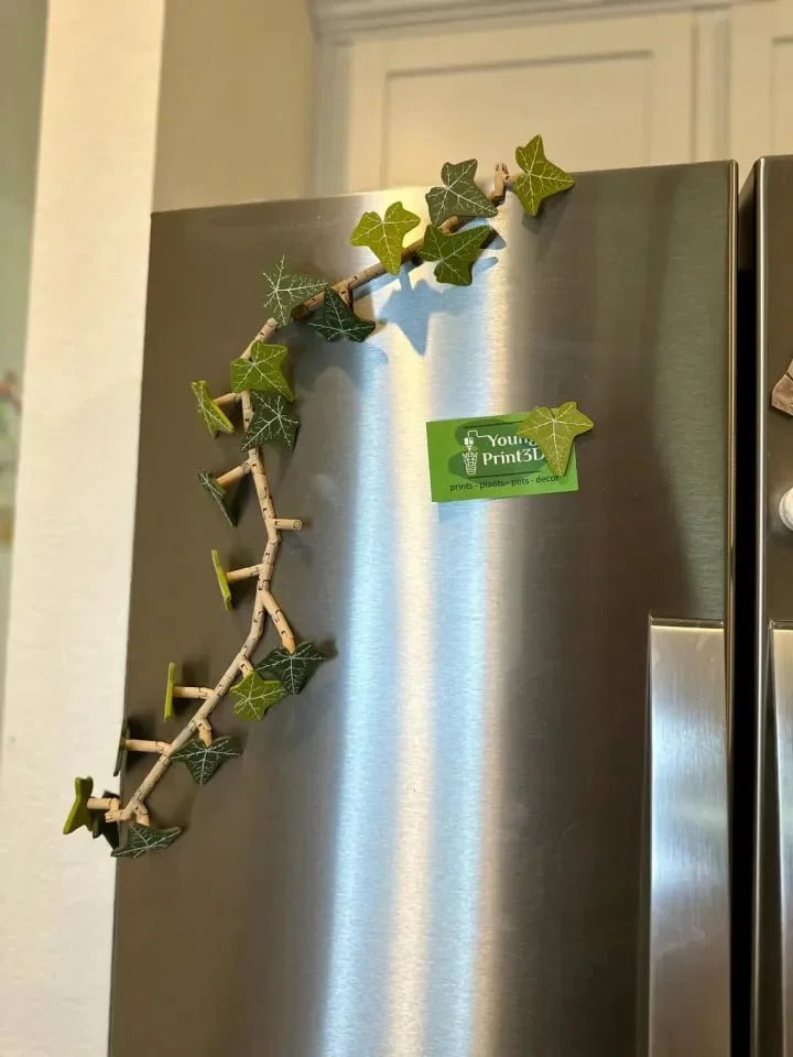 Ivy Fridge Magnets Vine 10$ TODAY ONLY