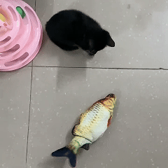 Fish Frenzy™ — 猫の野生の狩猟本能を刺激し、止まらないスリルと遊びを提供