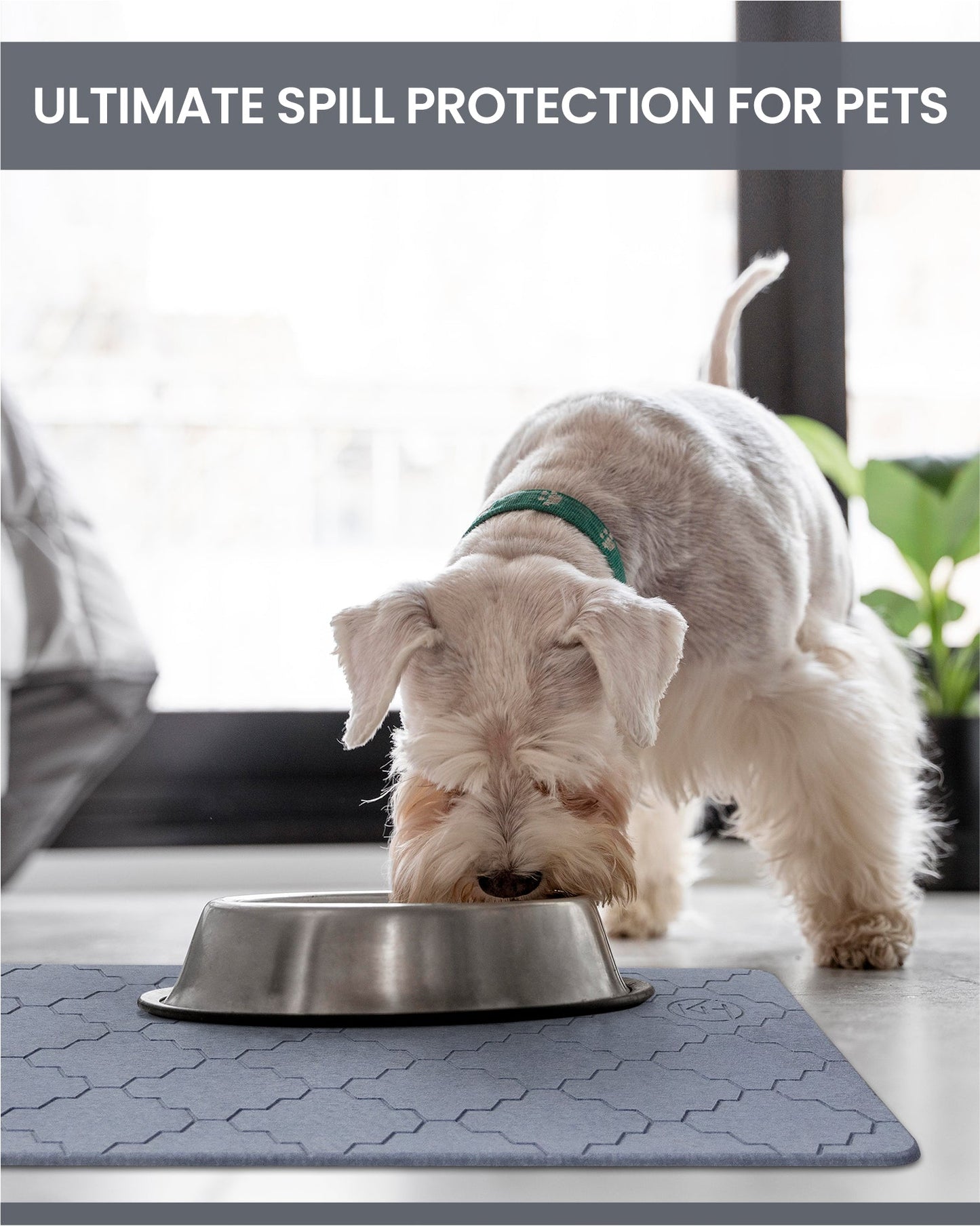 Ultrashield™ Stone Mat — Vertreibe Feuchtigkeit sofort für ein frisches, sicheres Zuhause jeden Tag