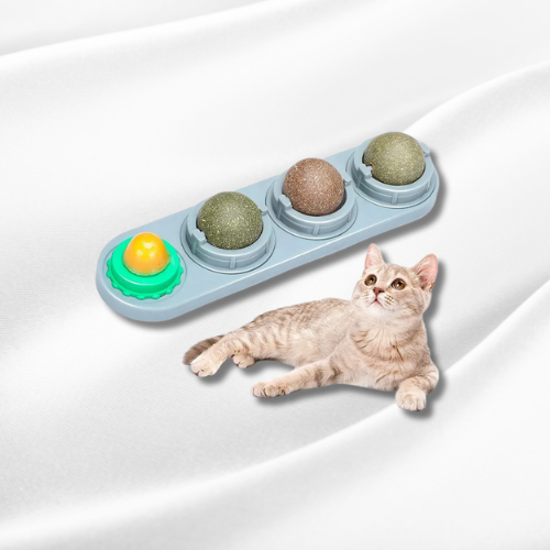 Cat Wall Ball 12$ TODAY ONLY