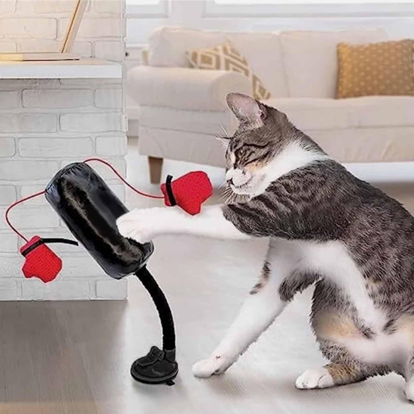 ClawStorm™ — Unleash Your Cat’s Fierce Instincts for Relentless, Wild Play