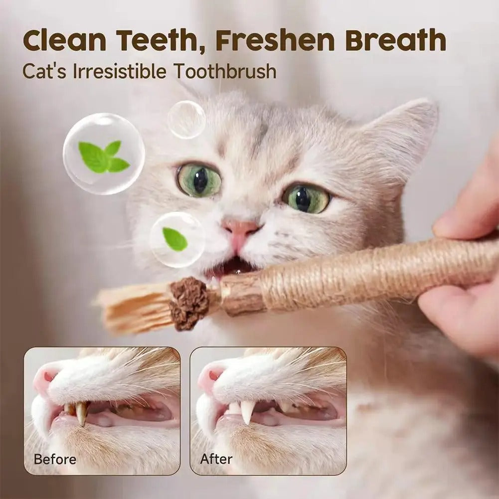 Chew Bliss™ — Μετατρέψτε τις Καταστροφικές Επιθυμίες σε Καθαρή Χαρά και Ηρεμία για τη Γάτα