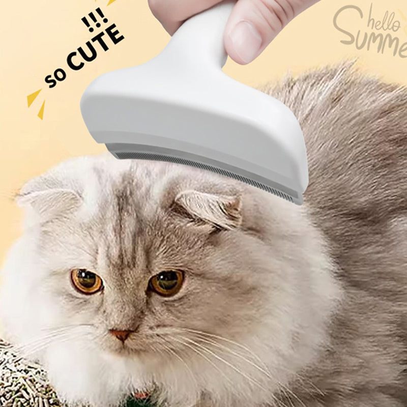 FurMaster Pro™ — Bekjemp kjæledyrshår-kaos med enkel, smertefri stell