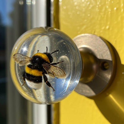 DoorCharm™ — Transform Any Door into a Bold Style Spotlight Instantly