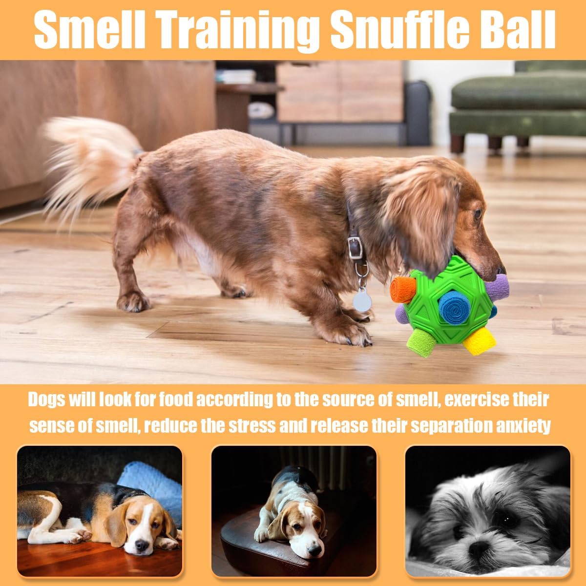 BrainTwist™ Treat Ball — Gør måltidet til en sjov hjernegymnastik, der beroliger og begejstrer din hund