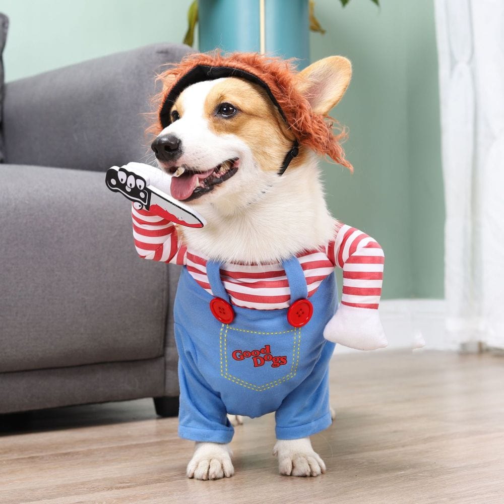 Costume di Halloween per cane