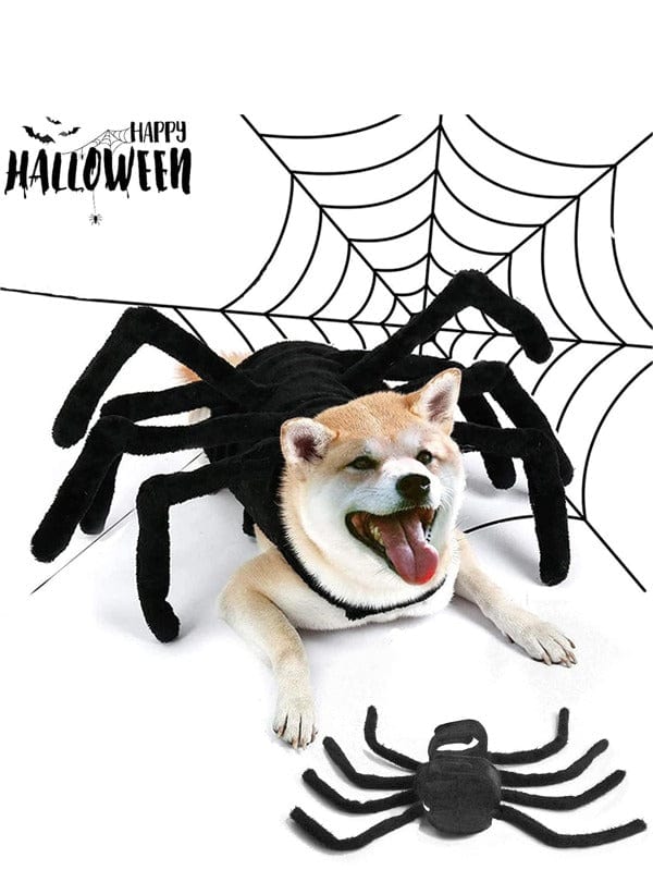 Halloween hundspindelkostym