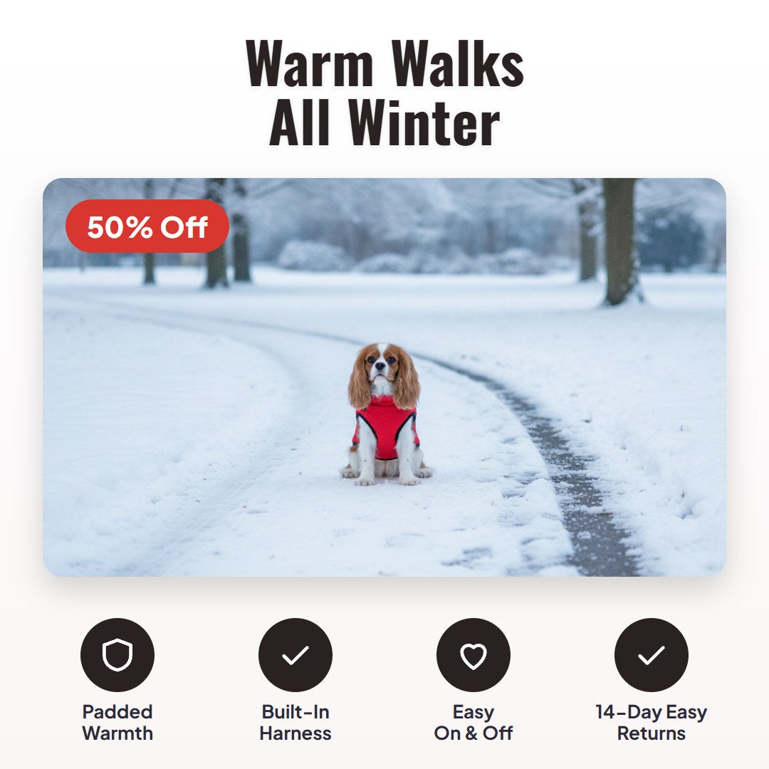 Pawcoat™ 3-in-1-Winterjacke für Hunde