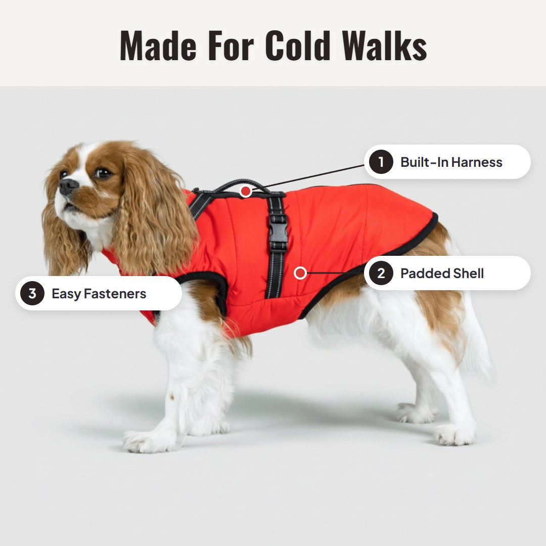 Pawcoat™ 3-in-1-Winterjacke für Hunde