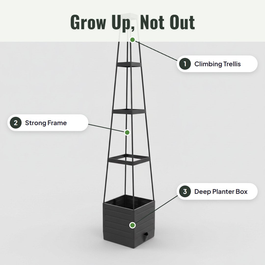 Trevora™ Raised Bed Planter With Trellis