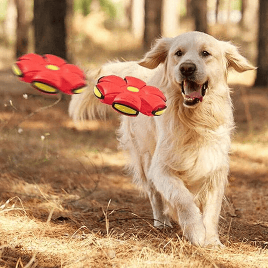 Glizm Pets Interactive Flying Dog Toy 7$ TODAY ONLY
