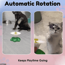 Rotating Cats Toy – Glizm