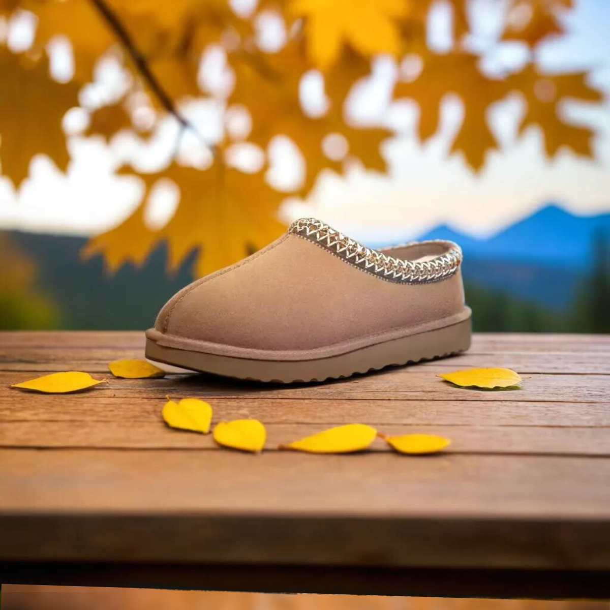 Women Half Slippers